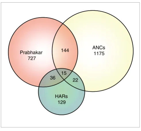 Figure 1Substitution rates of 1,356 human-specific ANC sequencesSubstitution rates of 1,356 human-specific ANC sequences