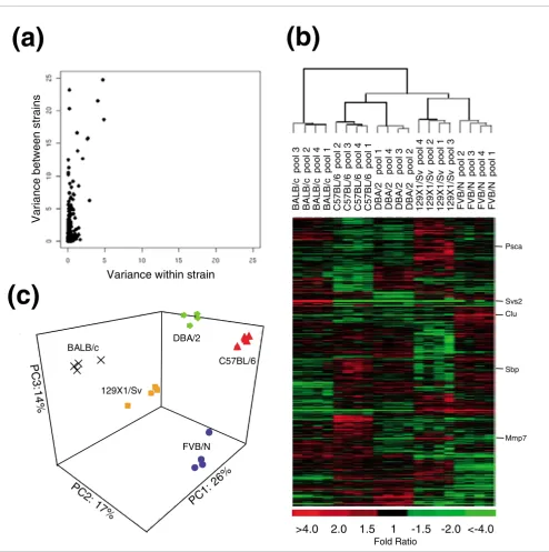 Figure 2Prostate gene expression differences among strains