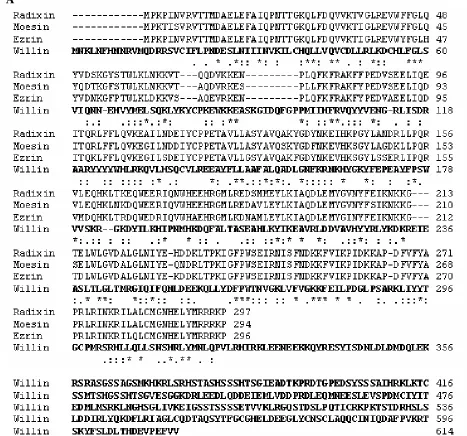Figure 1.16).
