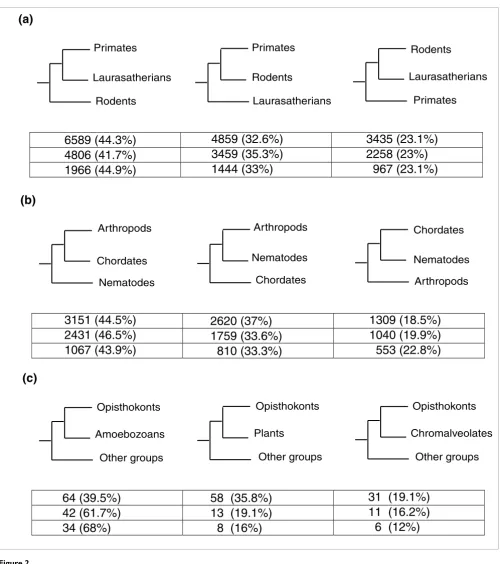 Figure 2The alternative phylogenetic relationships among the taxa involved in the three evolutionary hypotheses considered