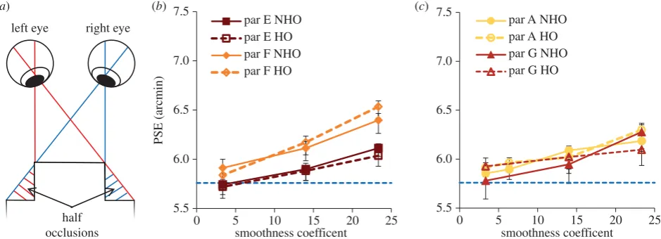 Figure 4. (a) Diagram shows half occlusions (HOs; hatched regions) when an observer views a patch standing out in depth from a background (solid black lines).(b,c) PSEs for all four participants as a function of smoothness coefficient