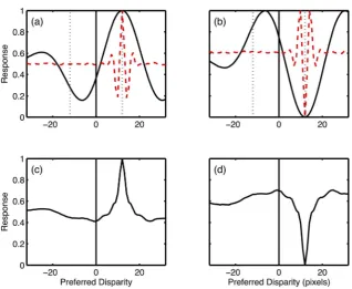 Figure 7. Binocular energy model responses to CRDS and ACRDS. (a) Mean responses of a population of position-tuned neurons to CRDS.Results are plotted as a function of the preferred disparity of each neuron, and show the normalised mean response across 100