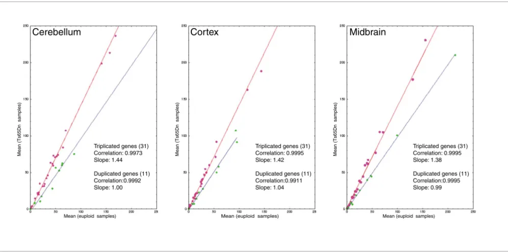 Figure 1Linear regression plots comparing trisomic and control animals