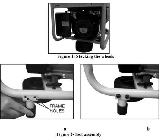 Figure 2- foot assembly 