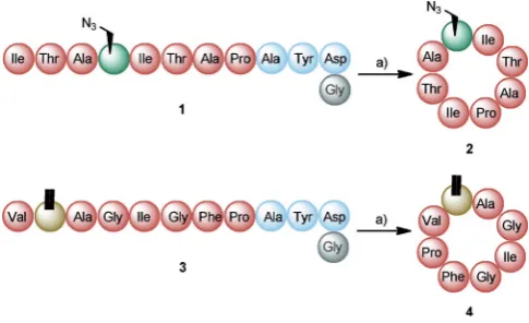 Figure 1. A) The pat gene cluster codes for PatA, which cleaves N-terminalto core peptide, PatB and PatC (unknown function), PatD, which heterocy-clases cysteine (serine, threonine) residues in the core peptide, PatE (precur-sor peptide), PatF (inactive pr
