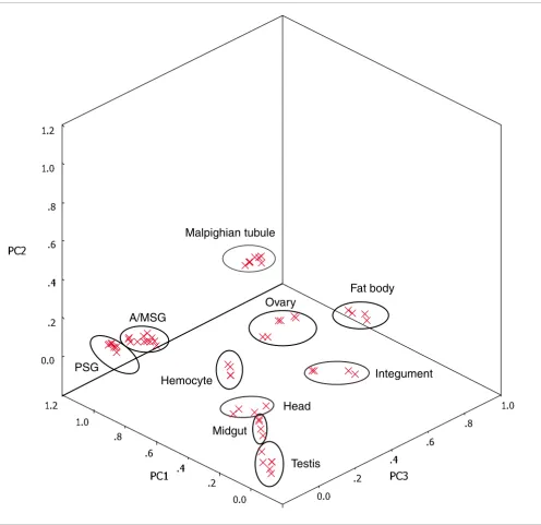 Figure 1PCA of the silkworm microarray dataPCA of the silkworm microarray data. The PCA plot illustrates the principal components of all 30 samples from the surveyed tissues