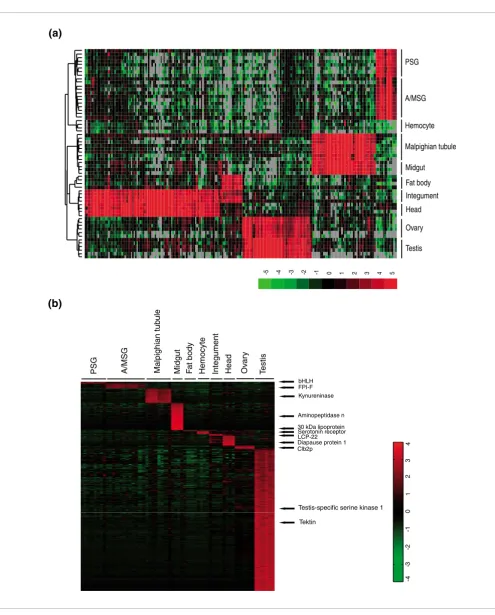Figure 3Hierarchical cluster analysis of genes characteristically expressed in different tissue types