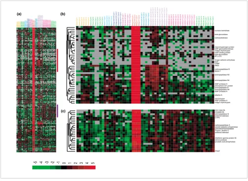 Figure 5Midgut-specific gene expression