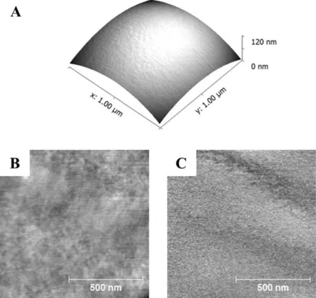 FIGURE 6 Peak Force QNM AFM analysis of a spray-dried 10/75/15 API/PLGA/PVP 
