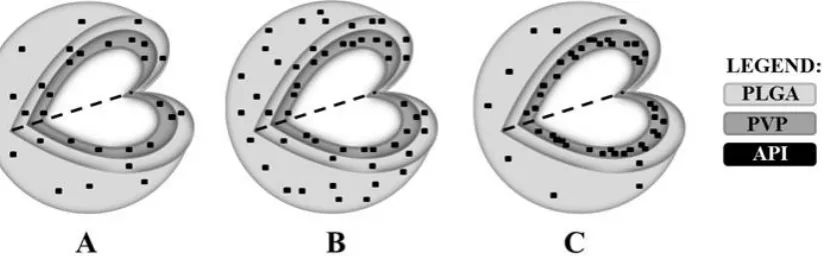 FIGURE 9 Elucidated structures of the model formulations with following API/PLGA/PVP 