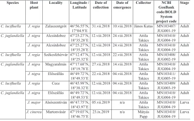 Table 1. Coptodisca specimens from Hungary used for molecular analyses.