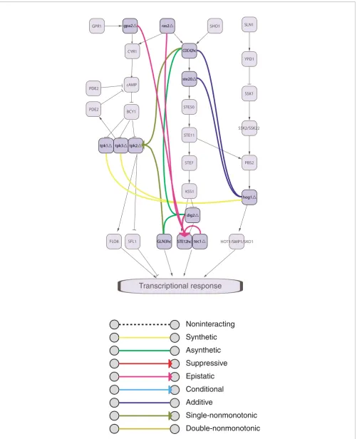Figure 1Multi-mode genetic-interaction motifs and the underlying molecular systemMulti-mode genetic-interaction motifs and the underlying molecular system