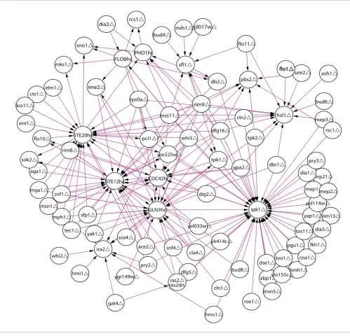 Figure 3Motif subnetworks