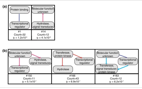 Figure 4Examples of motifs integrating gene annotations