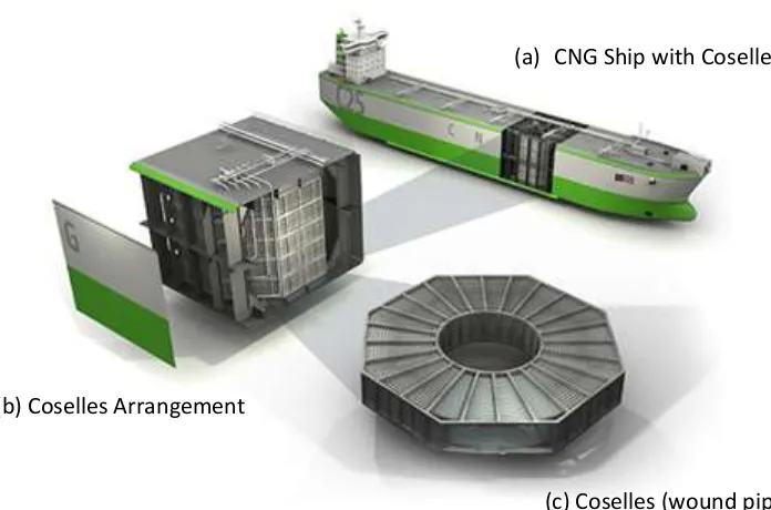 Figure 2: Sea NG coselle CNG ship and coselle arrangement 