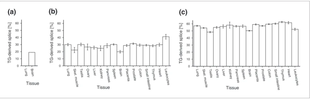 Figure 2Tissue-specific fractions of TG-derived splice variants