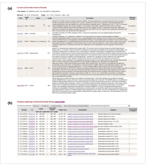 Figure 4Example of Pacodom applicationsExample of Pacodom applications. (a) Pacodom search of 'phagocytosis'