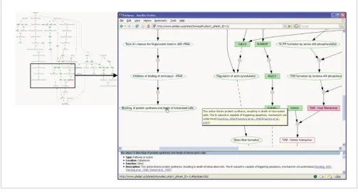Figure 7Visualization of an E coli pathogenesis network in Phinet