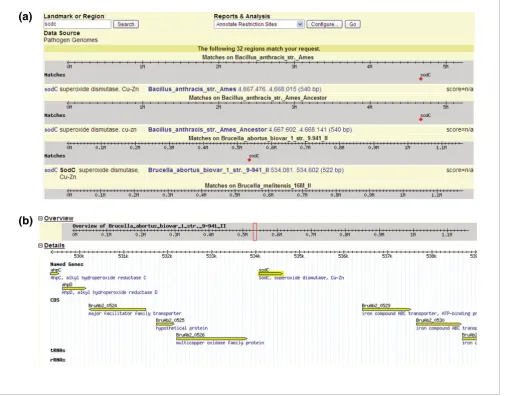 Figure 2Comparison and analyses of sodC genes in the PGBrowser
