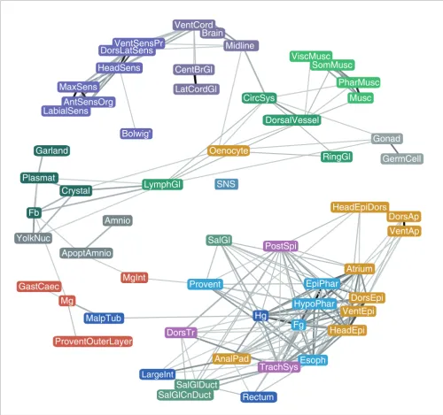 Figure 8Network representation of tissue relatedness