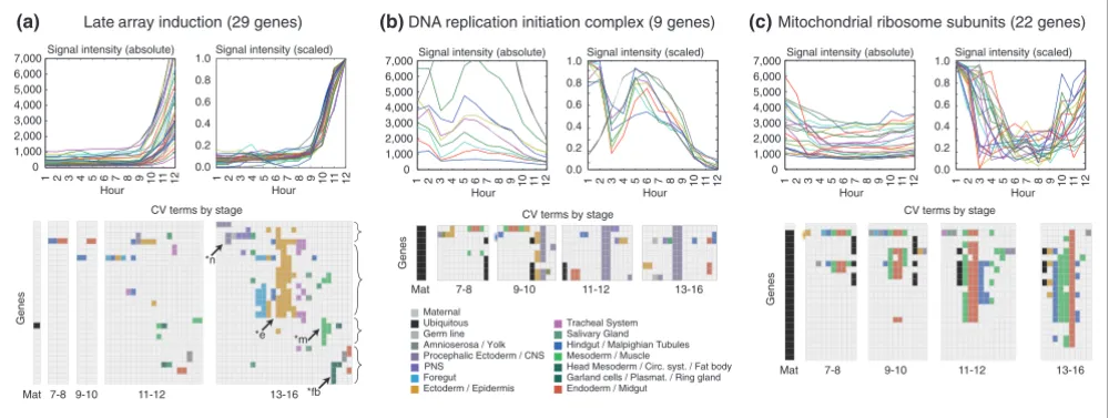 Figure 2Microarray data can supplement, but not supplant, in situ gene expression patterns