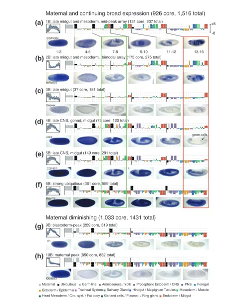 Figure 4 (see legend on previous page)
