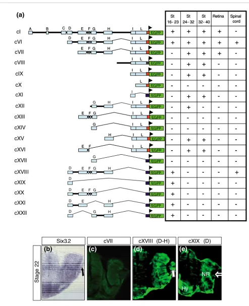 Figure 4 (see legend on previous page)