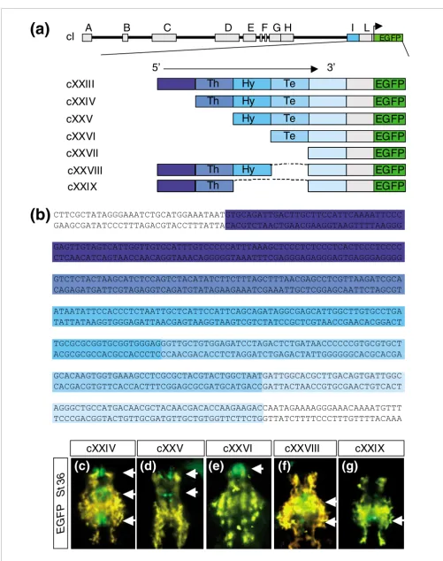 Figure 5 (see legend on previous page)