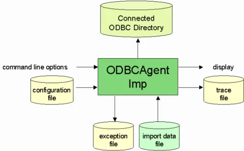 Figure 11: ODBCAgentExp Components