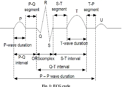 Fig. 1: ECG cycle 