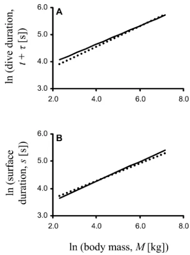 Table 2: Allometry of input and emergent dive parameters in the optimal diving model