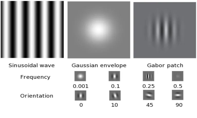 Figure 1.4: Gaborized contours