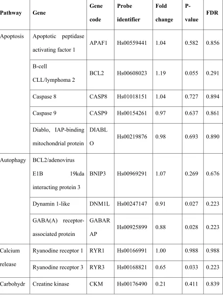 Table 2: Changes in mRNA levels of several transcripts associated with metabolism or 