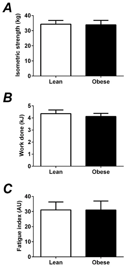 Figure 3: Isometric strength, total work output and fatigue index during 30 maximal 