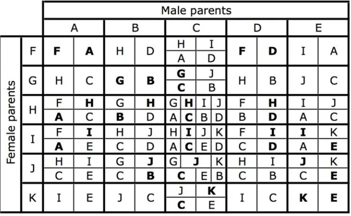 Figure 2. The karyotypes produced by each possible mating. The letters refer to the karyotypes in Figure 1
