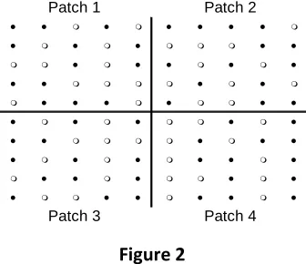  Figure 2 The logic of patches may suggest new powerful tools in the design and handling of 