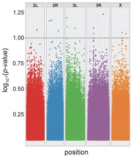 Figure 6. Genome-wide survey for SNPs implicated in IGEs for fo-cal male tapping behavior