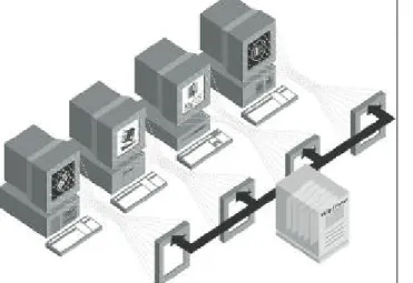 FIGURE 1-2 The Citrix WinFrame product line with the Citrix MultiWin technology enables a wide  variety of devices to access your applications