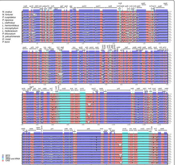 Fig. 4 Visualization of the alignment of the Polypodiaceae plastome sequences, with N