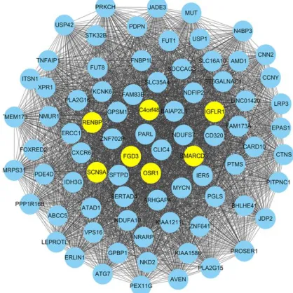 Fig. 2: The matrix color map clarified weight distri-bution for each interaction. In the matrix color map, the SRCC was used to assign a weight value to an edge in the form of a colored square