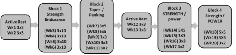 Figure 1. Sets and repetitions with corresponding training foci across the 20 weeks.