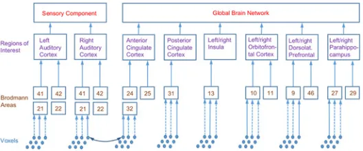 Fig 3. Spatial hierarchies used in source analysis. Diagram shows constituent Brodmann areas (BAs) ofROIs