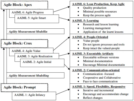 Figure 2.5. Agile Adoption and Improvement Model (Qumer et al., 2007) 