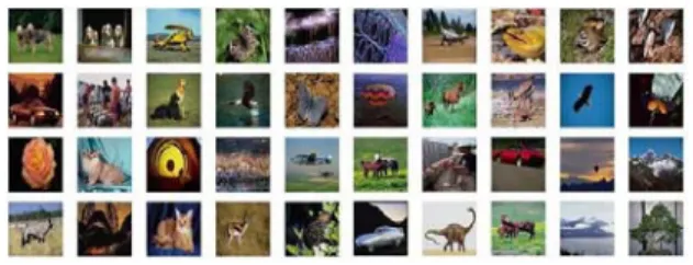 Figure 1. Image examples in the COREL dataset.