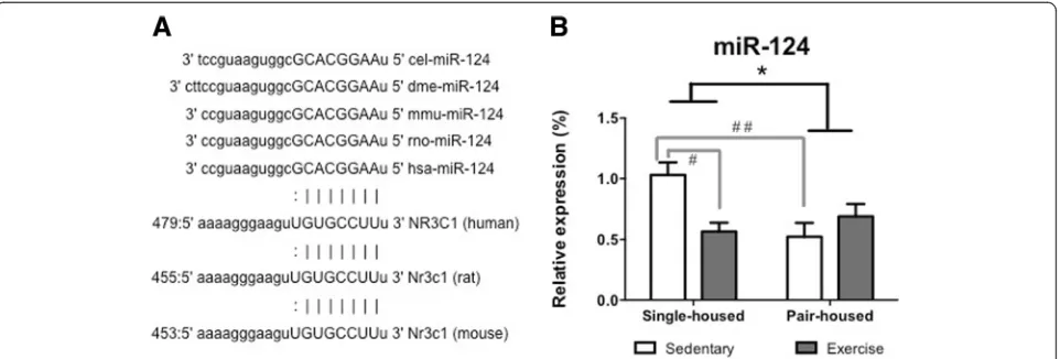 Fig. 4 Impact of exercise and housing conditions on miR-124 levels at the hippocampus