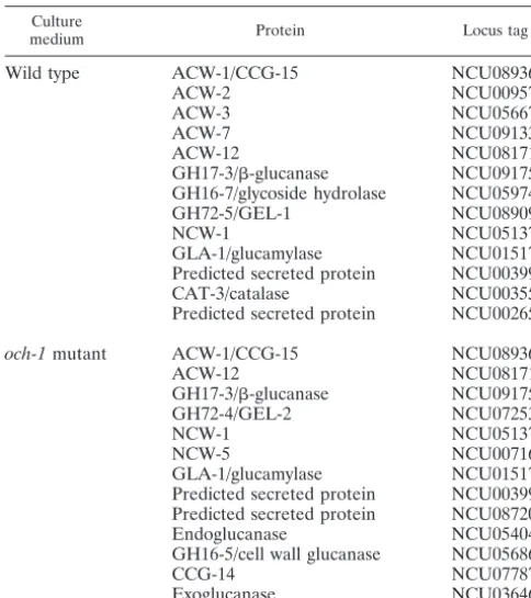 TABLE 3. Cell wall proteins identiﬁed by nano-LC/MS-MS in theTFMS-deglycosylated protein released into the growth mediumby vegetative hyphae