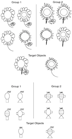 Figure 1. Examples of Targets and Groups for Replication of Norenzayan et al. (2002)  