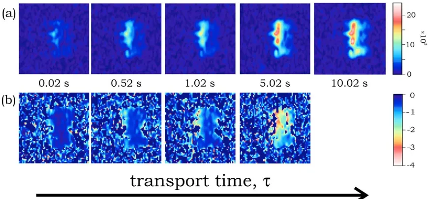 Figure 3. Transport weighted images (a) are shown as function of transport time, s. The s values used in the pres-ent work are also shown