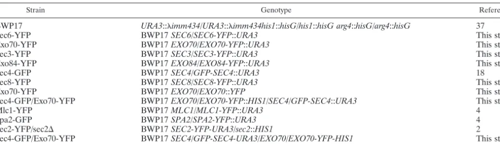 TABLE 1. Strains used in this study