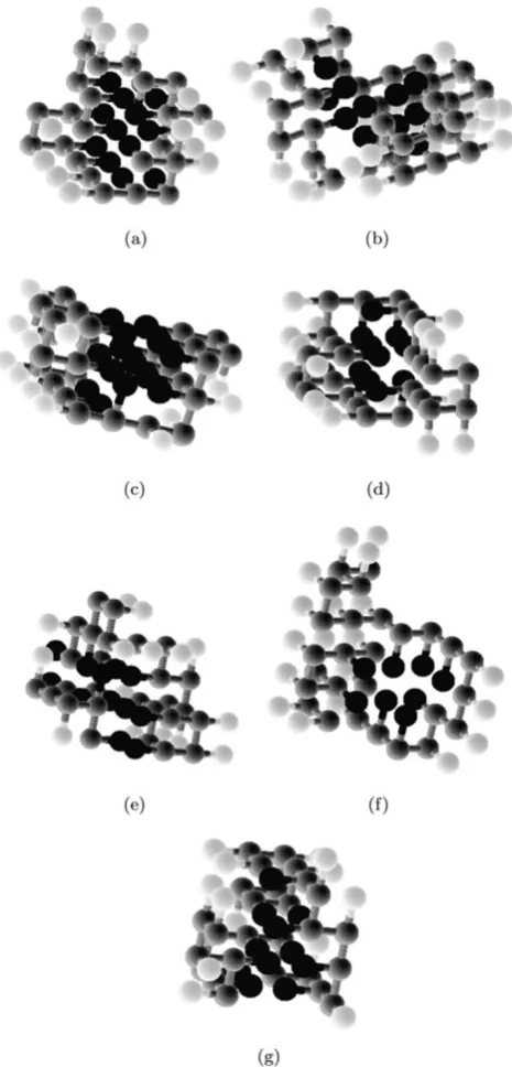 Fig. 6 Final 3D folding obtained for sequences Dill.3 (and Unger273d.10 (a), Dill.5 (b),Unger273d.4 (c), Unger273d.6 (d), Unger273d.7 (e), Unger273d.9 (f),g)